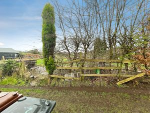 Photo 12- click for photo gallery